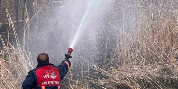 Van’da sazlık alanda yangın